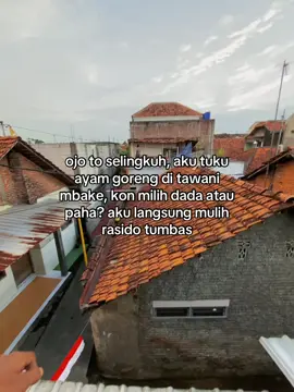 wong kene golek e sayap