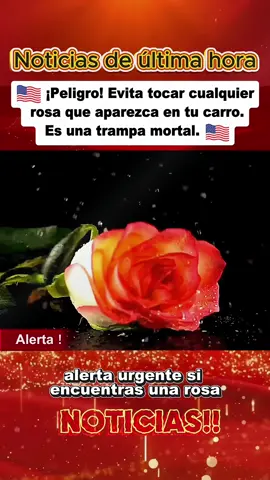 ¡Peligro! Evita tocar cualquier rosa que aparezca en tu carro.Es una trampa mortal.#trampamortal #misterio #alerta #noticias #usa #eeuu 