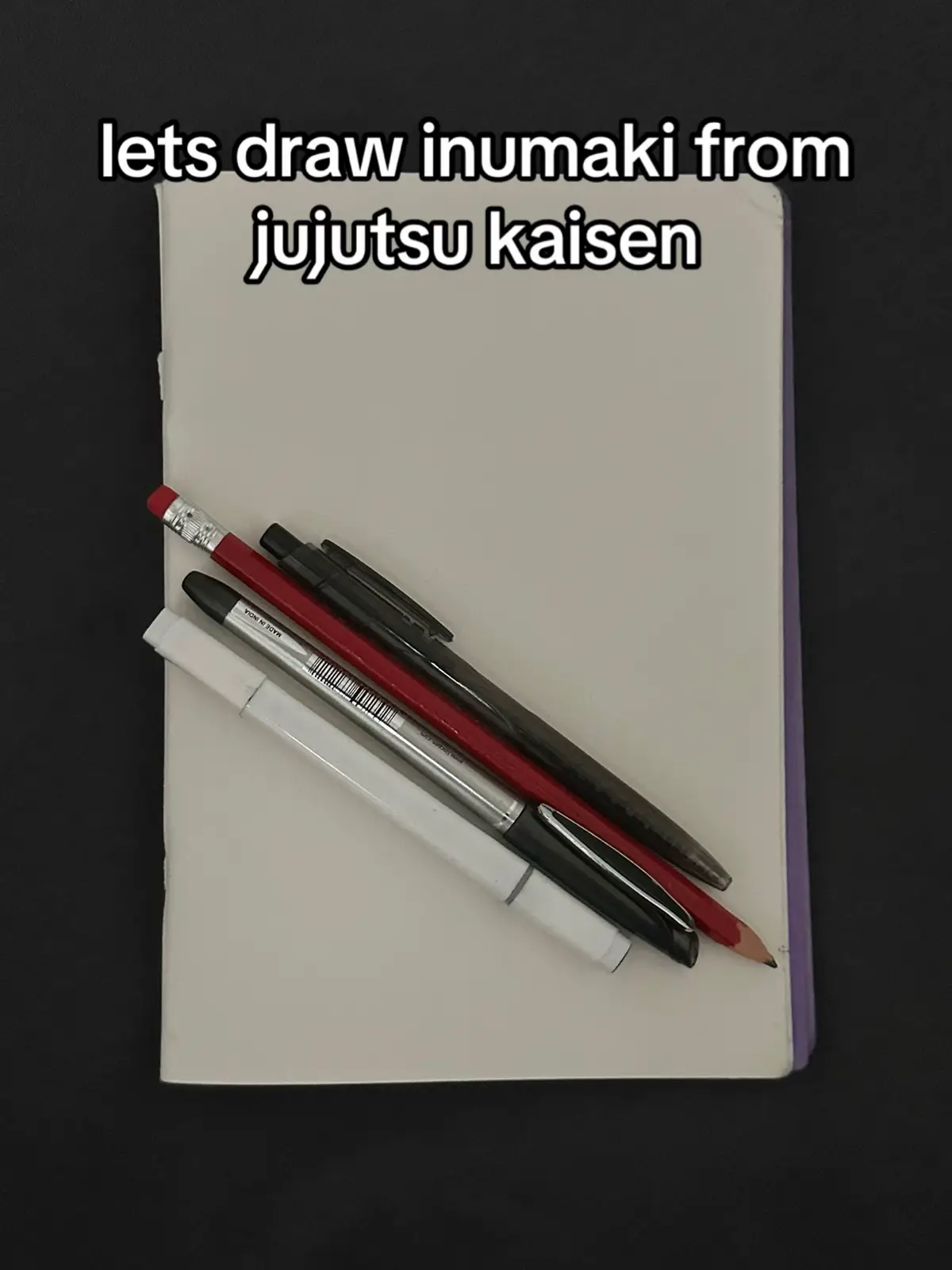 #fyp #jjk #jujutsukaisen #inumakitoge #artist 