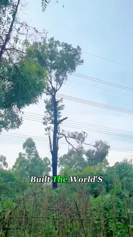 No More Chainsaws—This Laser Fells Trees Instantly! 😲
 #lasertechnology #technology #smartmachines #tree #laser #fyp #foryou #oddlysatisfying #knowledge 