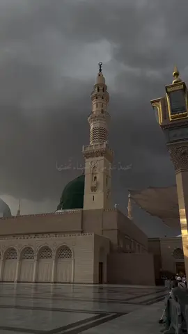 محمد الحرزي#28صفر استشهاد رسول الله صلى الله عليه وآله وسلم #محمد الحرزي 