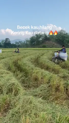 Infolureng#petanimuda#ojekgabahpinrangfyppppppppppppp