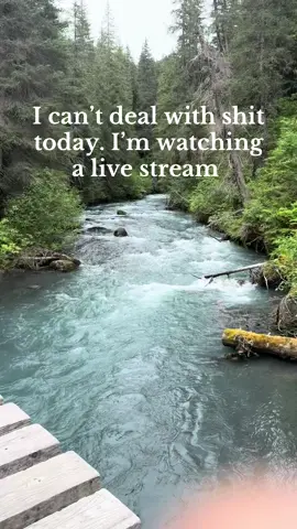 Live streams always pay off #live#Hiking#alaska #adventure #trend 