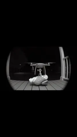 With inflation getting so outta hand, Amazon Prime has now added same day drone baby delivery for their members! #amazon #amazonfinds *disclaimer* (no baby was harmed in the making of this video)