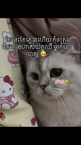 @Ra love $ 💞#fypシ #vairal #fypシ゚ #fyppppppppppppppppppppppp #som❤️mnak_muy_mk👌❤️🆗 