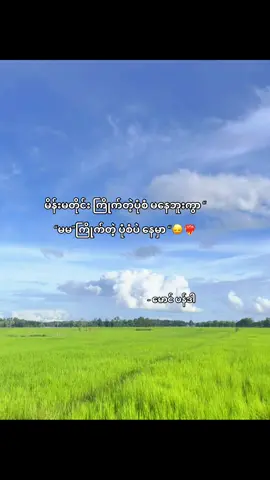 နော် မမ”🙂‍↕️❤️‍🔥@Khin Wint Wah  … … #fyp #fypシ #fypシ゚viral #ပန်ဒါစာတို🤪 #myanmartiktok 