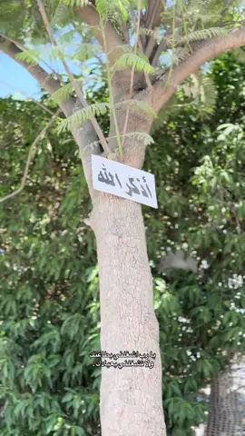 #اكسبلور_explore 