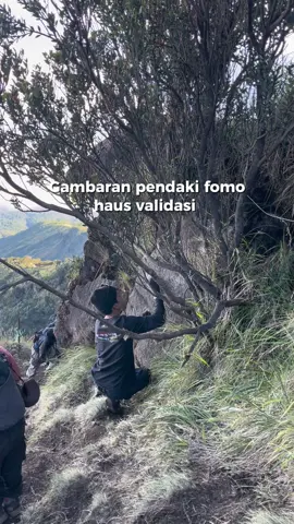 Biar apa yah kek gitu?…. ini sudah saya tegur naumun dia menjawab “Ah udah terlanjur jadi lanjutin aja” #fomo #pendakigunung #mountesia #gnsumbing3371mdpl #perusakalamsadarlestari 