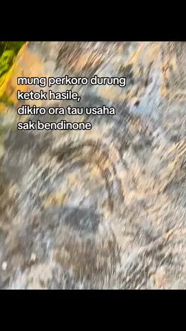 tunggu hasilku dan ingat, semua orang akan ngaku saudara jika kita sukses dan gk dianggep pas kita gk punya apa
