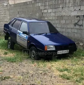Жалко их #дагестан#каспийлада #шама85 #аскер#акушинка 