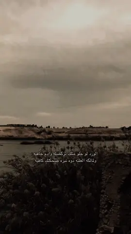 #ستوريات #حب #حديثه_عذراء_الانبار 