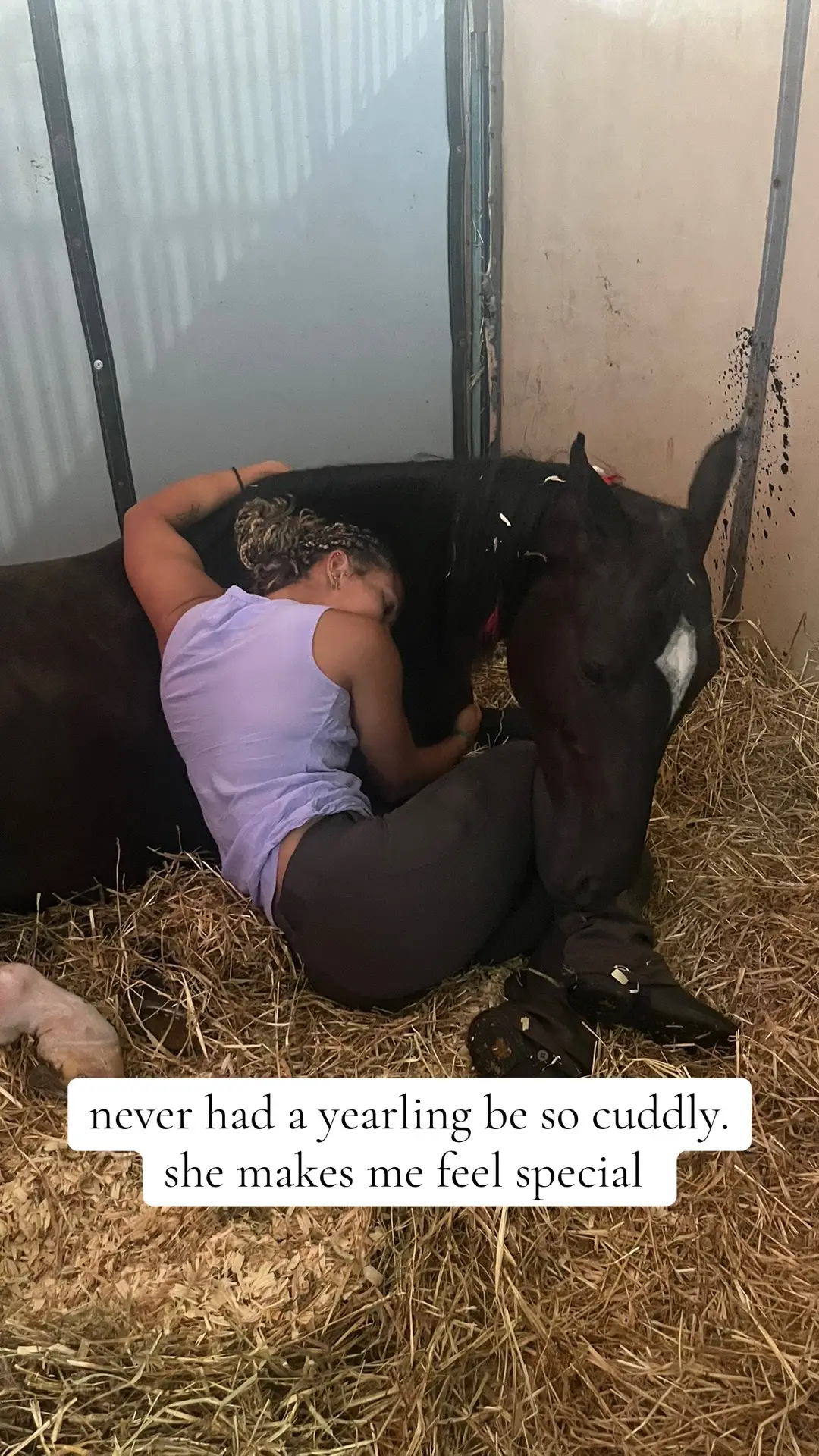 ophelia is such a sweet girl #yearling #saddlebred #babygirl 