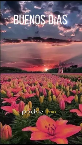 Buenos día para todos #paratipageparati #parati #fypシ #fy #foryourpage  
