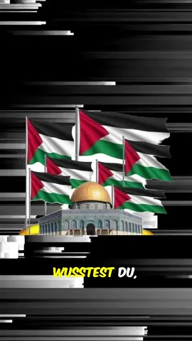 #فلسطين🇵🇸 #palestine #wissen#fakt #frrrr 