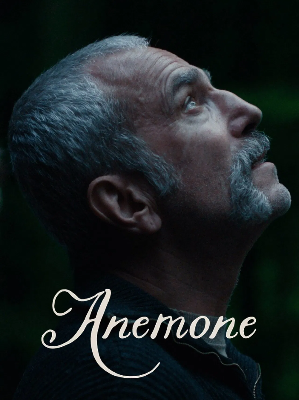 دانيال داي لويس يعود بعد غياب 8 سنوات بفيلم جديد بعنوان Anemone من إخراج ابنه رونان داي لويس! 👀🔥 الفيلم يستكشف العلاقات المعقدة بين الآباء والأبناء والإخوة، ويشاركه البطولة شون بين وسامانثا مورتون. التريلر يوعدنا بدراما مشحونة بالتوتر والمشاعر! 🎥💔 📅 العرض الأول في بريطانيا: 7 نوفمبر 2025. هل تتوقع أن يكون هذا آخر تحفة لداي لويس؟ 🤔 #DanielDayLewis #Anemone #Cinema #Drama #TikTokMovies