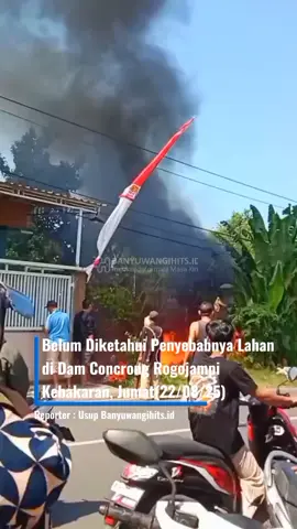 Belum Diketahui Penyebabnya Lahan di Dam Concrong Rogojampi Kebakaran, Jumat(22/08/25) #news  #beritaterkini  #beritabanyuwangi  #banyuwangihitsid 