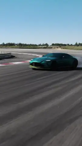 Master#foryou #catsoftiktok #viral #racing 