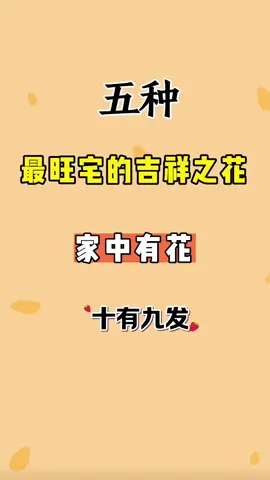 #花卉绿植 #养花 #生活小技巧 #好物推荐 #好物分享❤️ 