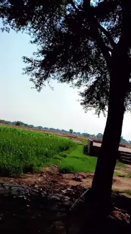 Zohiab ibtyhaj Dost 