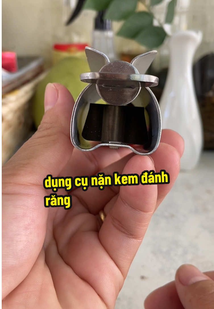Dụng Cụ Lấy Kem Đánh Răng Thép Không Gỉ 304 #dithichgongang #dungcunankemdanhrang #nankemdanhrang #dodunggiadinh #dodungtienich 