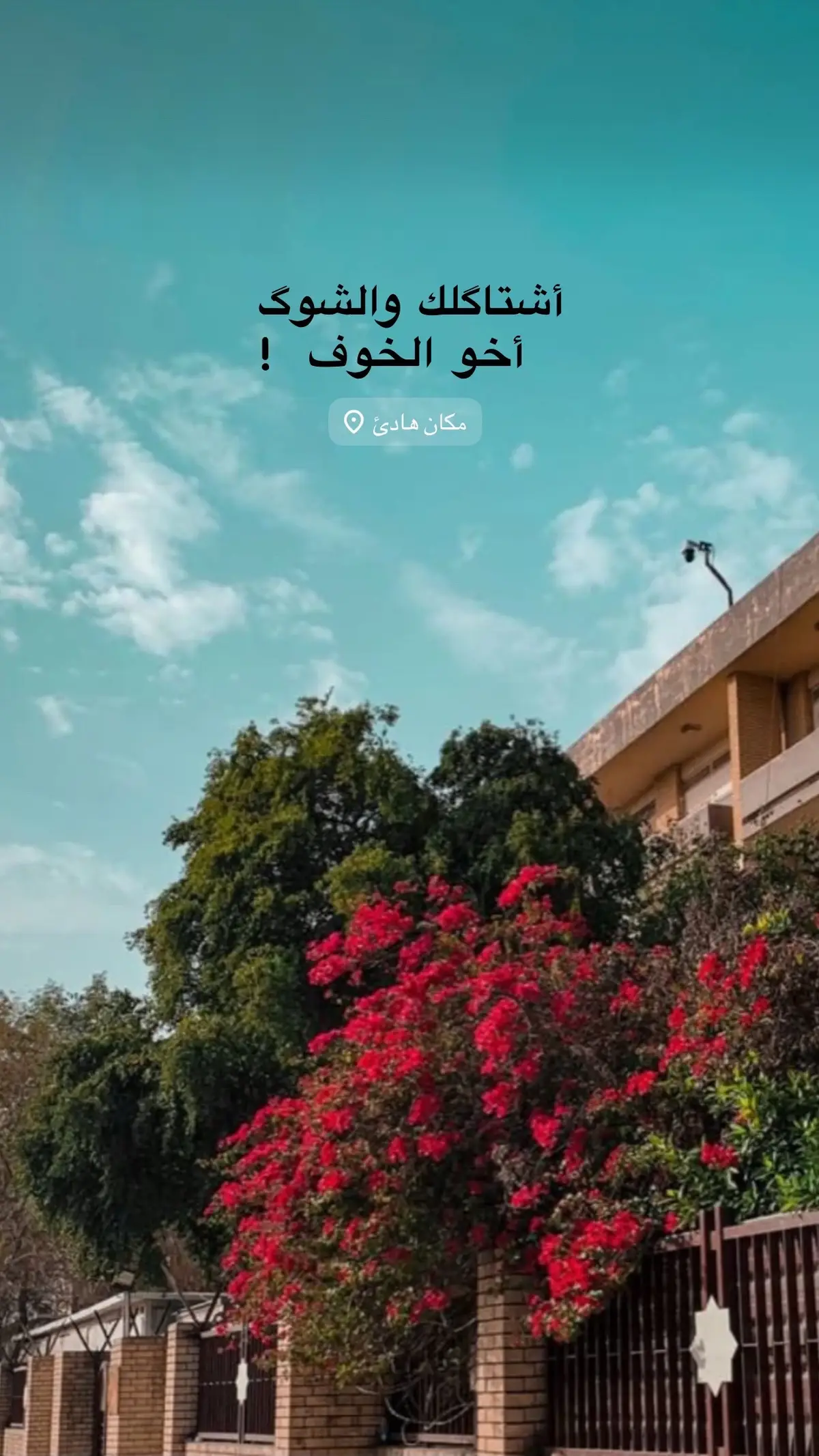 #عباراتكم #شعر #شعر_عراقي #شعر_شعبي_عراقي #الشعب_الصيني_ماله_حل😂😂 