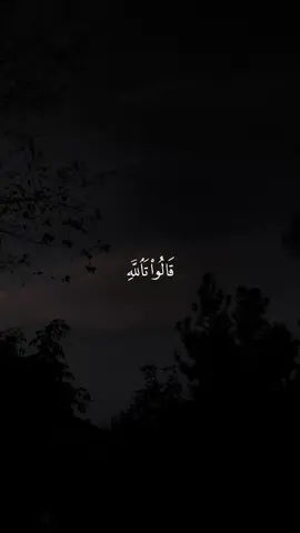 سورة يوسف ماتيسر منها - القارئ : سعود الفايز #سعود_الفايز #سورة_يوسف #quran #راحه_نفسيه #القران_الكريم 