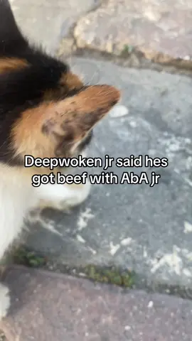 #deepwokenjr 