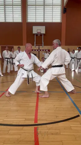 Kihon application.                            #kihonkarate #kihonkarateshotokan #karate #karateshotokan #shotokankarate 