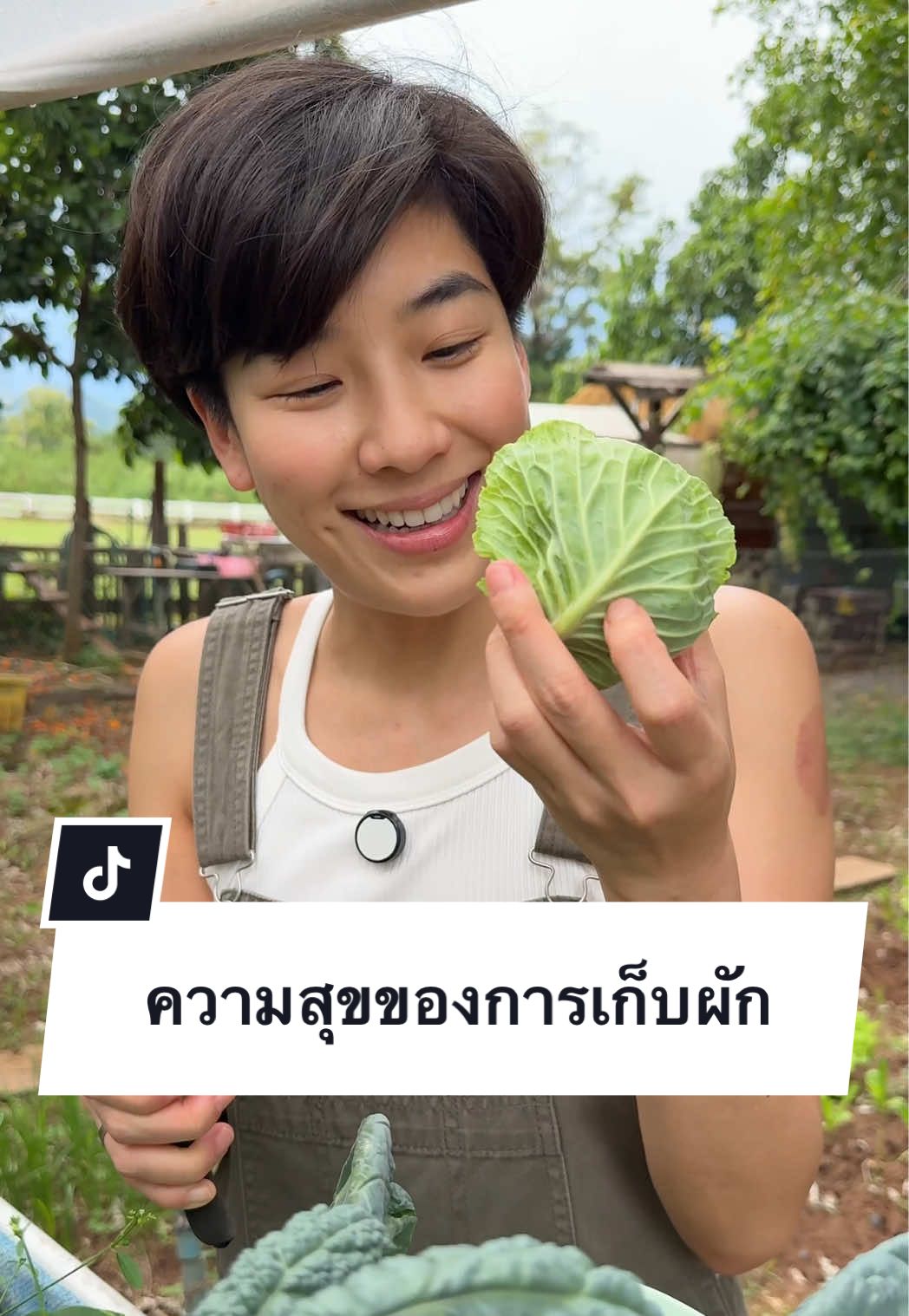 มาทริปออฟฟิศ แน่นอนต้องเก็บผักทำอาหารให้ทุกคน #maxdicine #baanfaranghomestay #maxdicinetravels #khaoyai 