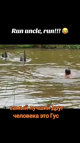 run, Гус 