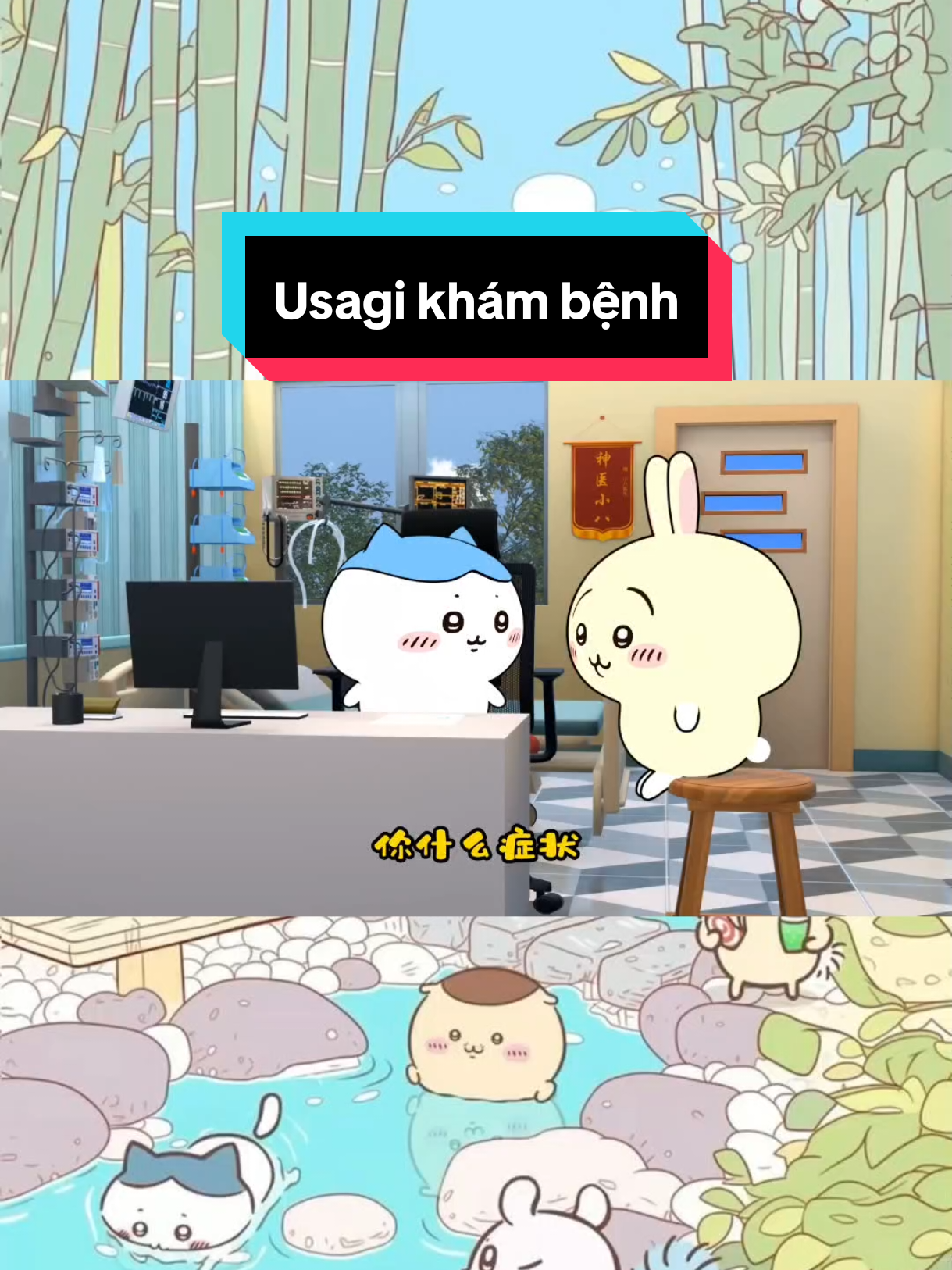 Usagi khám bệnh #hachiware #usagi #chiikawa 