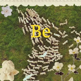 #lambs #sheep #xybca #foryou 