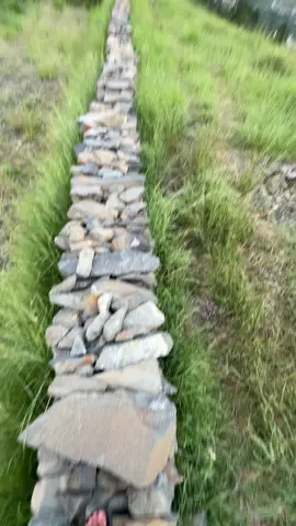 🥰🙃