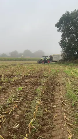 Envie d’y être 😪😍😍#claas #landwirtschaft #agriculture #farm #agricultural 