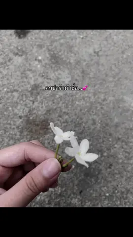 #ฟีดดดシ 