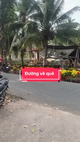 Đường về quê thấy sao trong lòng vui ghê #tet2024 #viral #bentre71🌴🥥 