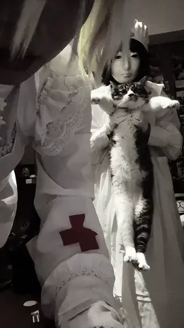 你好nyan #iryoukei #cat #cutecat #creepy #creepytok 