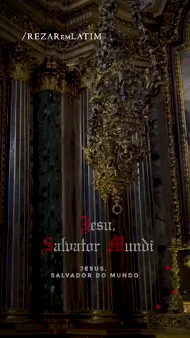 Jesu, Salvator Mundi Tuis famulis subveni Quos pretioso sanguine Redemisti #rezaremlatim #latim #latimliturgico #latimeclesiastico #latin   