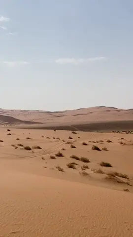 #الرمله_الربع_الخالي🌾 