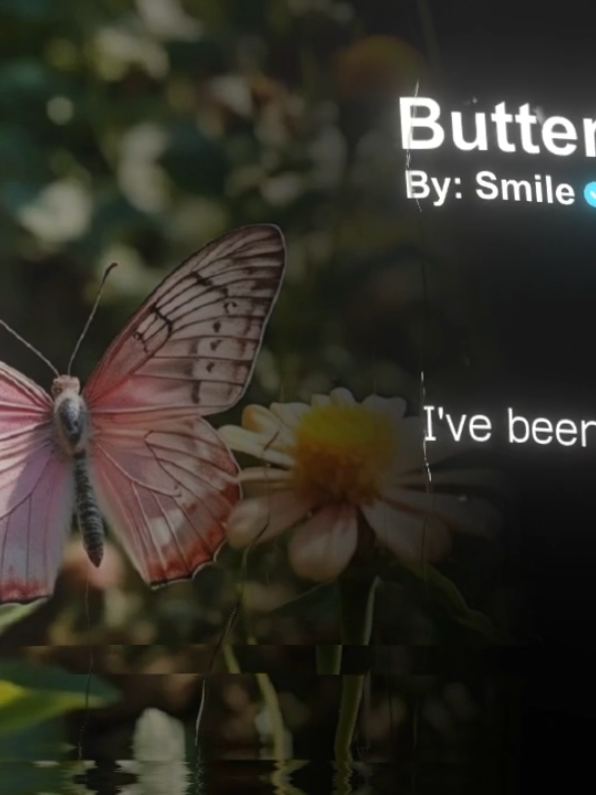 Butterfly #butterfly #🎧 #som🤍mnak_muy_mk🥺🙏💗 #mongkol_music🎧🎶 #fypシ゚viral 