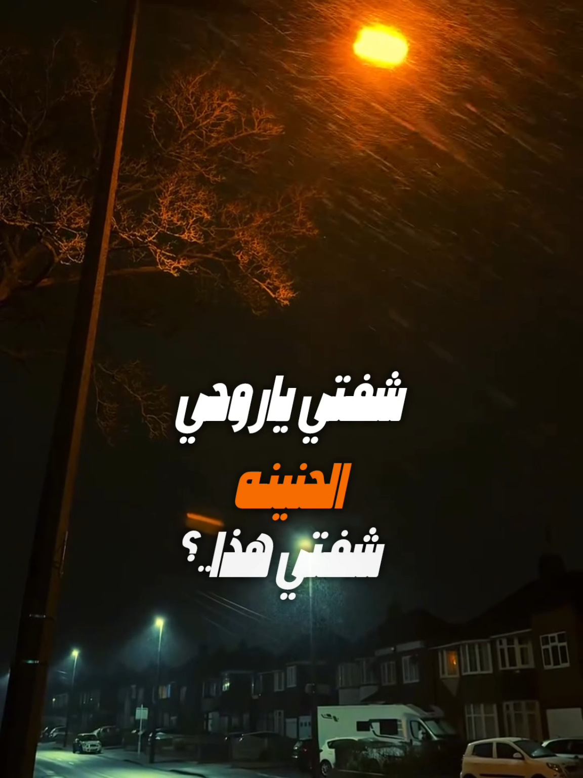 شفتي ياروحي الحنينه...! #اغاني #Sing_Oldies #تصميم_فيديوهات🎶🎤🎬 #ترند 