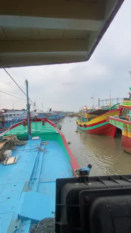 🌊 #pati24jam #kapalpursesainejuwana #minyang #masukberandafyp 
