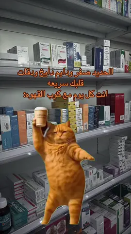 هههههههههههههههههههههههههههههههههههههههه 
