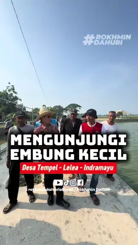 Berkunjung ke Embung Kecil di Desa Tempel, Lelea, Kab. Indramayu #fyp #dprri #rokhmindahuri 