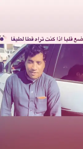 ابو ناحي> السعداوي #ابو_ناحي #الروله_سكاكا_عرعر_طريف_القريات #fyppppppppppppppppppppppp @ابوناحي الرويلي 👑 