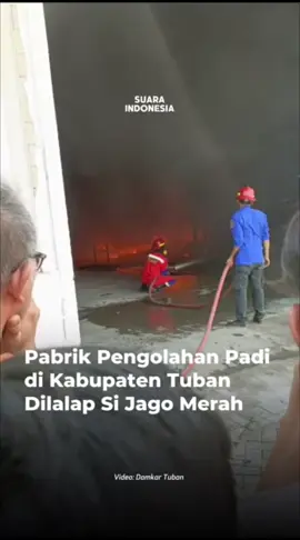 Kebakaran pabrik pengolahan padi milik CV Sumber Pangan di Dusun Pandan, Desa Minohorejo, Kecamatan Widang, Kabupaten Tuban, Jawa Timur, Jumat (22/8/2025). Kebakaran yang terjadi di area penyimpanan sparepart itu diduga dipicu korsleting listrik. Kebakaran pada Jumat siang diketahui pertama kali oleh petugas keamanan pabrik bernama Totok Subiantoro. Ia melaporkan kejadian itu ke Pemadam Kebakaran (Damkar) Kabupaten Tuban. “Kami menerima laporan kebakaran sekitar pukul 12.02 WIB dan tim pemadam kebakaran dari berbagai unit tiba di lokasi kejadian pada pukul 12.18 WIB,” kata Kepala Bidang Damkar di Satpol PP dan Damkar Kabupaten Tuban, Sutaji. Sutaji menjelaskan, sebanyak tiga unit mobil damkar dikerahkan dan dibantu personel TNI-Polri untuk memadamkan api. Kebakaran itu dengan cepat bisa dipadamkan dalam waktu sekitar 20 menit. “Kebakaran diduga dipicu konsleting listrik pada area AC Outdoor yang merambat ke gudang penyimpanan sparepart,” ungkapnya. Adapun sejumlah barang dan peralatan yang disimpan di bangunan berukuran sekitar 5×12 meter nyaris ludes dilalap si jago merah. Jenis barang yang disimpan adalah spearpart mesin, vanbell, komputer data dan jumbo bag bax. Kerugian akibat kebakaran itu, menurut Sutaji, ditaksir menyentuh Rp 700 juta, termasuk nilai kerusakan gedung. “Tidak korban jiwa, hanya kerugian materiil sekitar Rp 700 juta,” ujarnya. Baca berita menarik lainnya di Suara Indonesia (klik tautan di bio @suaraindonesiatuban ) #suaraindonesia #tuban #damkartuban #sumberpangan 