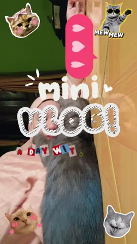 Sehari dengan doi 😹😽😻👀