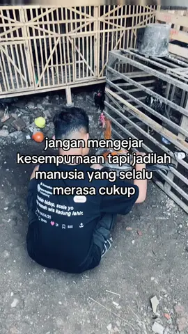 ampun kesupen maos allhamdulillah🙏🏻🥰 #ayambangkokindinesia #ayambangkoksuper #jagojowo80 #botohayam #ayamimport 