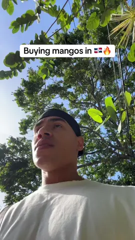 Everything you do in DR is a journey fr! 🤣🇩🇴❤️ #fyp #dominicana🇩🇴 