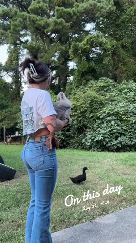 #onthisday love me some feathered friends